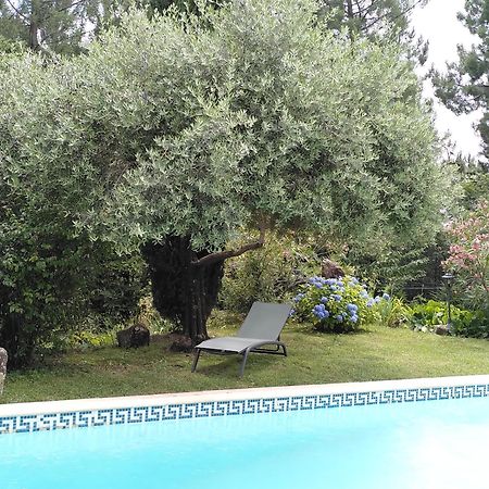 Bed and Breakfast Brin D Ardeche Lentilleres Exteriér fotografie