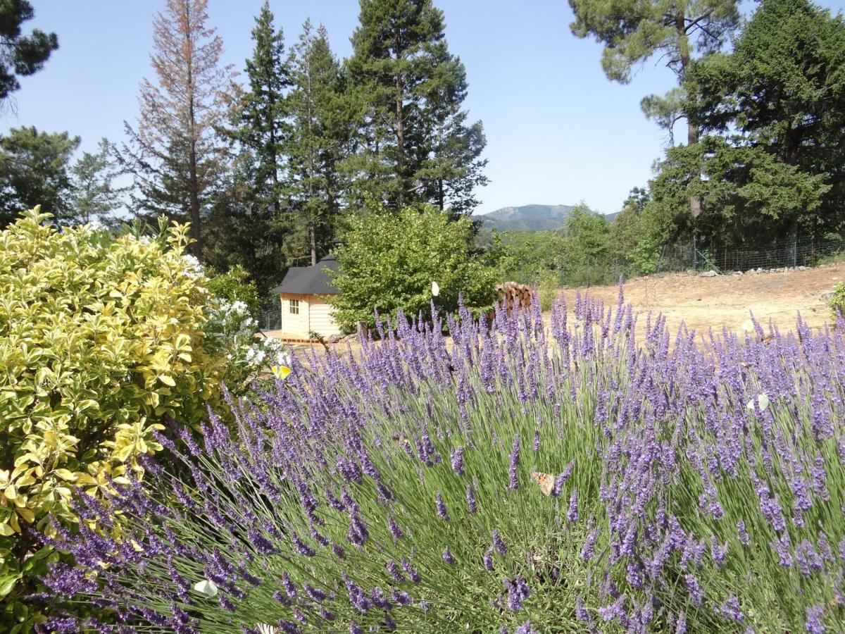 Bed and Breakfast Brin D Ardeche Lentilleres Exteriér fotografie